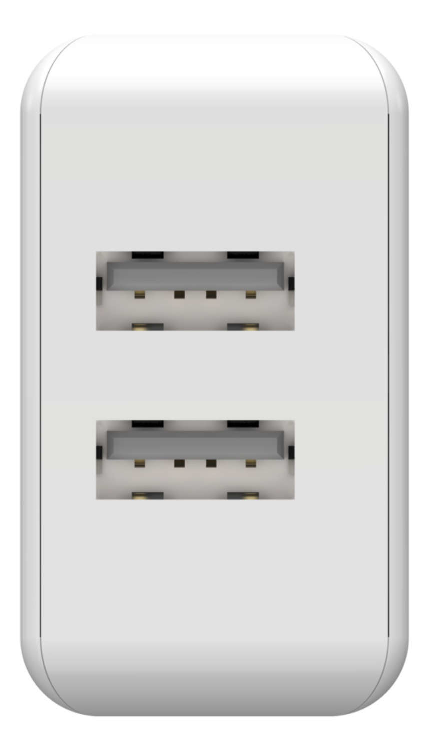 Ansmann HC212 - Netzteil - 12 Watt - 2400 mA - 2 Ausgabeanschlussstellen (USB)