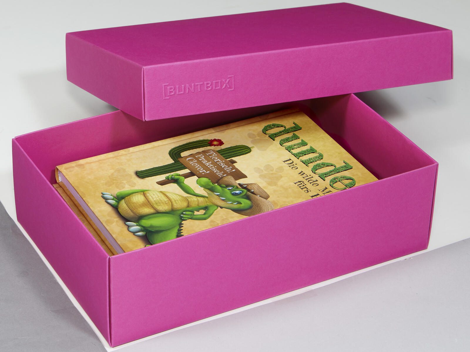 Buntbox 2 l Geschenkboxen 3.6 l pink 26.6 x 17.2 7.8 cm