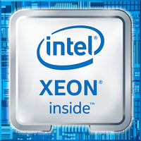Intel Xeon E-2124G - 3.4 GHz - 4 Kerne - 4 Threads