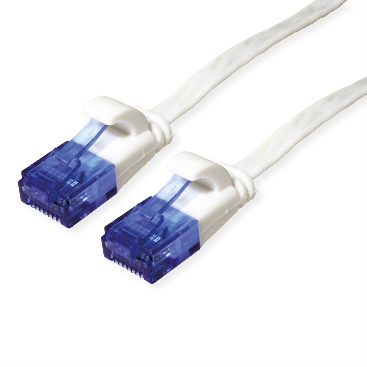 ROTRONIC-SECOMP VALUE - Patch-Kabel - RJ-45 (M) zu RJ-45 (M)