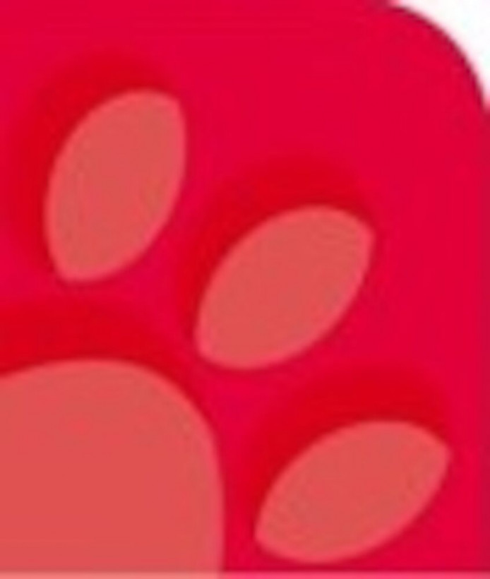 Oxford 100050402 cuaderno y block A4 Rojo