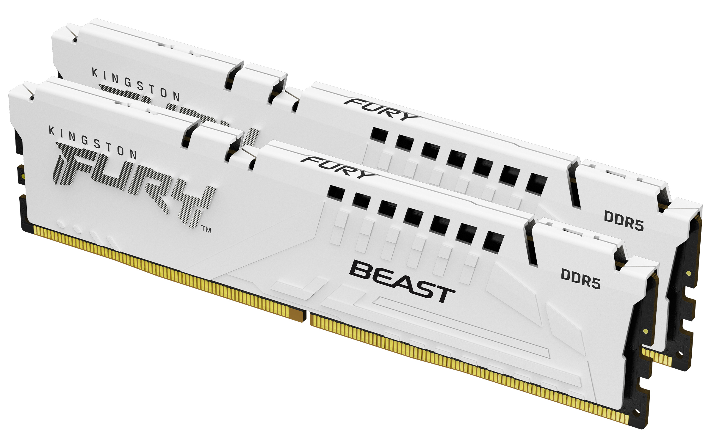 Kingston Technology FURY Beast 64 Go 6400 MT/s DDR5 CL32 DIMM (Kits de 2) White XMP
