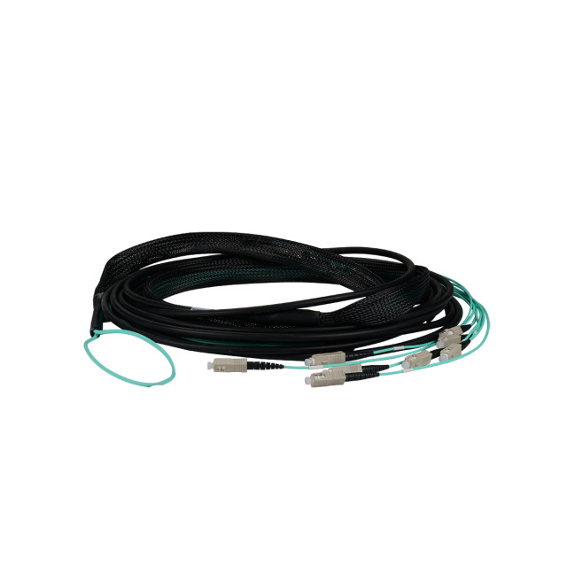 EFB Elektronik O8301L170OM3 cable de fibra optica 170 m 4x SC U-DQ(ZN) BH OM3 Negro, Azul