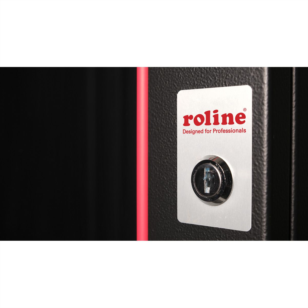 ROLINE 26.21.0172 rack 9U Da parete Nero