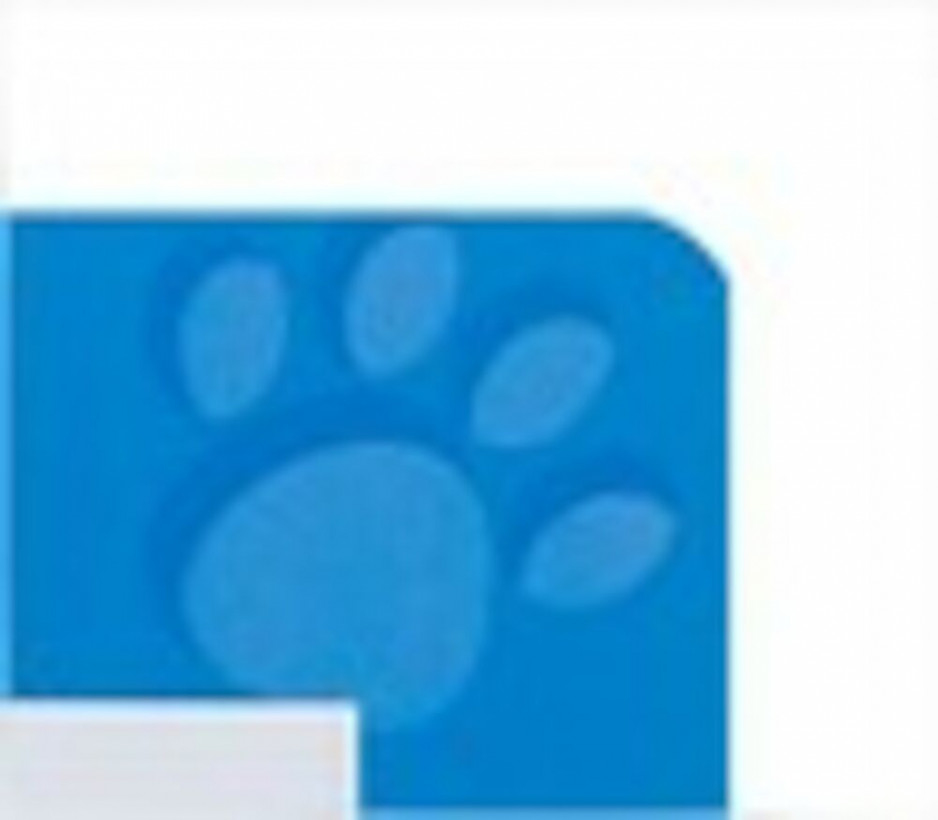 Oxford 100050401 cuaderno y block A4 Azul