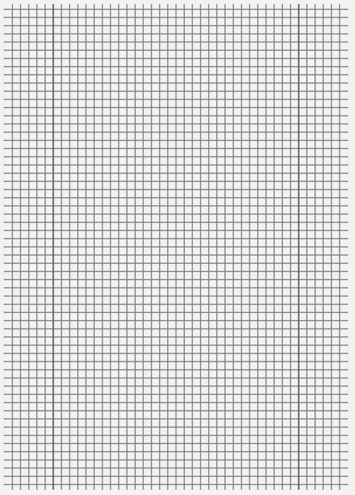 Staufen 10 Schulhefte Lineatur 28 kariert Innen- und Au�enrand