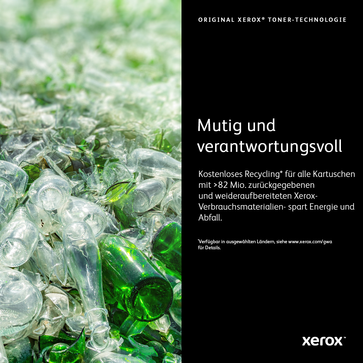Xerox Cartuccia toner a Standard da 10.000 pagine per Phaser 4510 (113R00711)