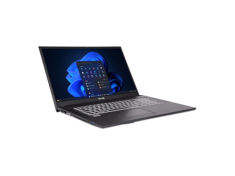 TERRA 1220892 ordenador portatil Intel� Core i5 i5-1335U Port�til 43,9 cm (17.3) Full HD 16 GB DDR5-SDRAM 500 GB SSD Wi-Fi 6 (802.11ax) Windows 11 Pro Gris