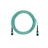 BlueOptics EMC CBL-MTP12-OM3-30M kompatibles MTP-MTP Multimode OM3 Patchkabel 30 Meter