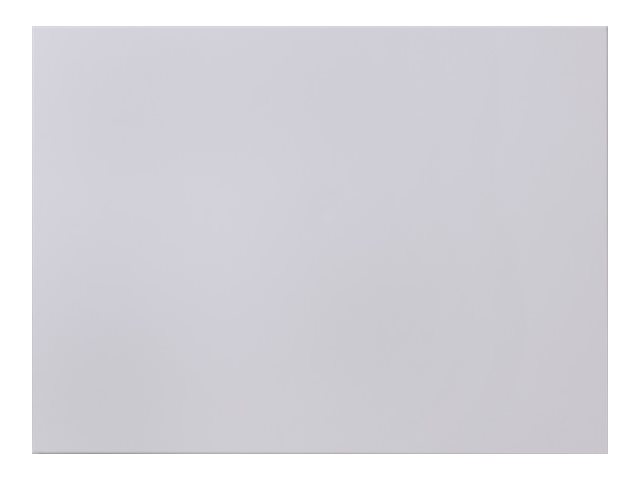 celexon Expert PureWhite - Leinwand - geeignet f�r Wandmontage - 229 cm (90)