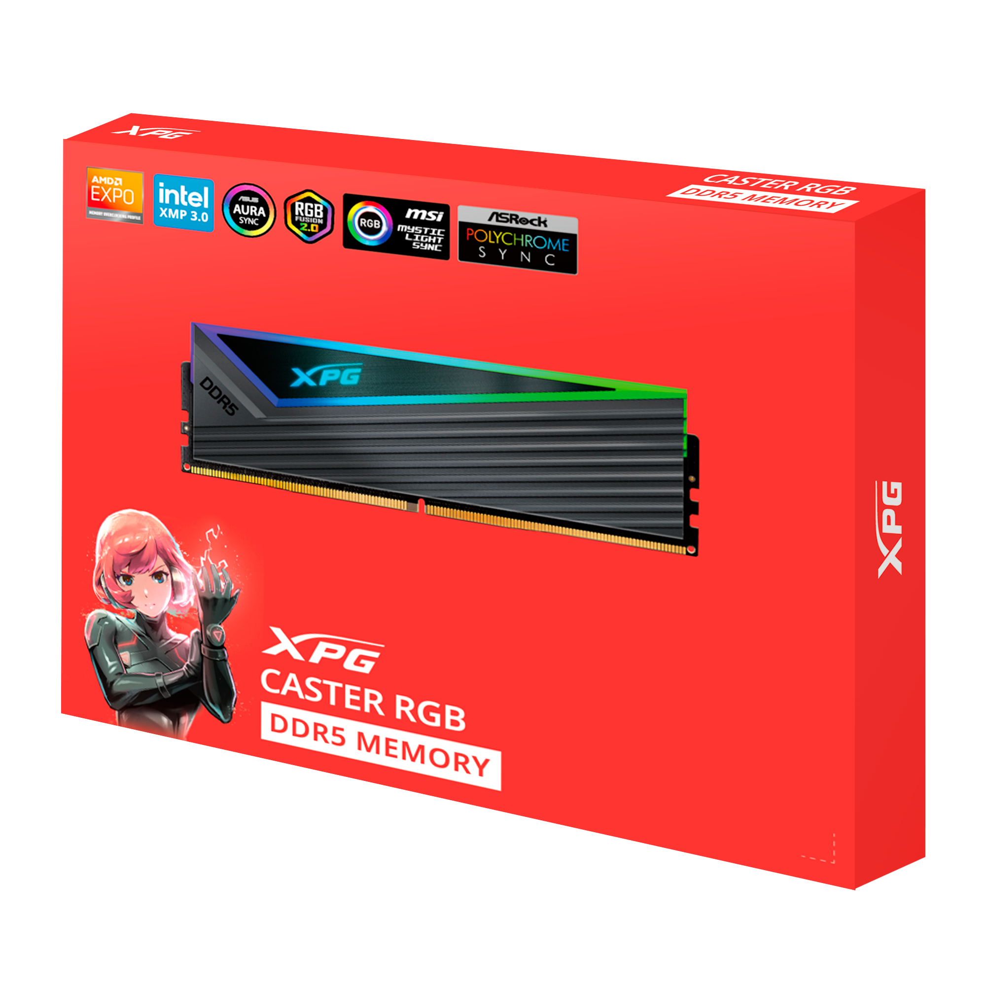 ADATA DIMM 32 GB DDR5-6400 2x 16 Dual-Kit grau AX5U6400C3216G-DCCARGY XPG Caster