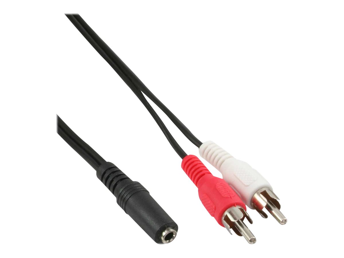 InLine Audio cable 2x RCA male / 3.5mm Stereo female 3m