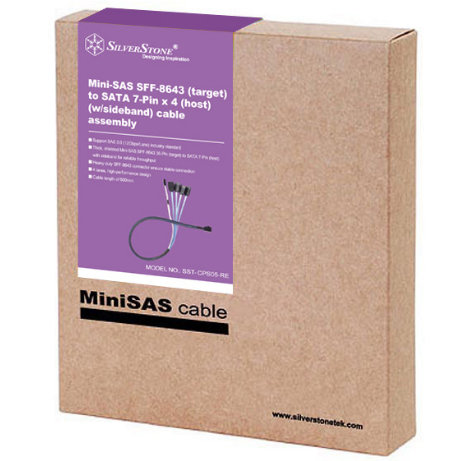 Silverstone CPS05-RE 0.6 m Black