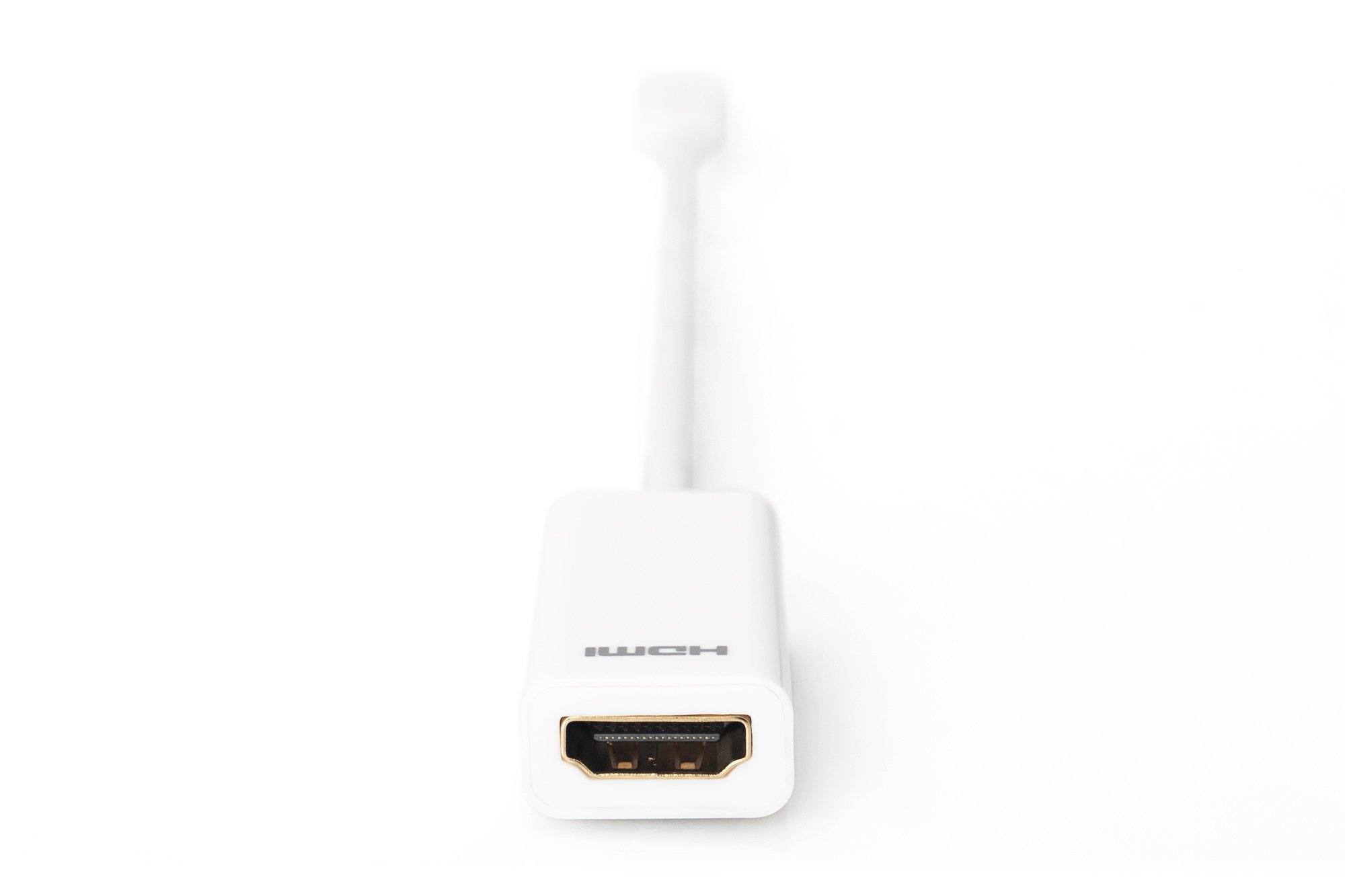 Digitus Cavo adattatore DisplayPort