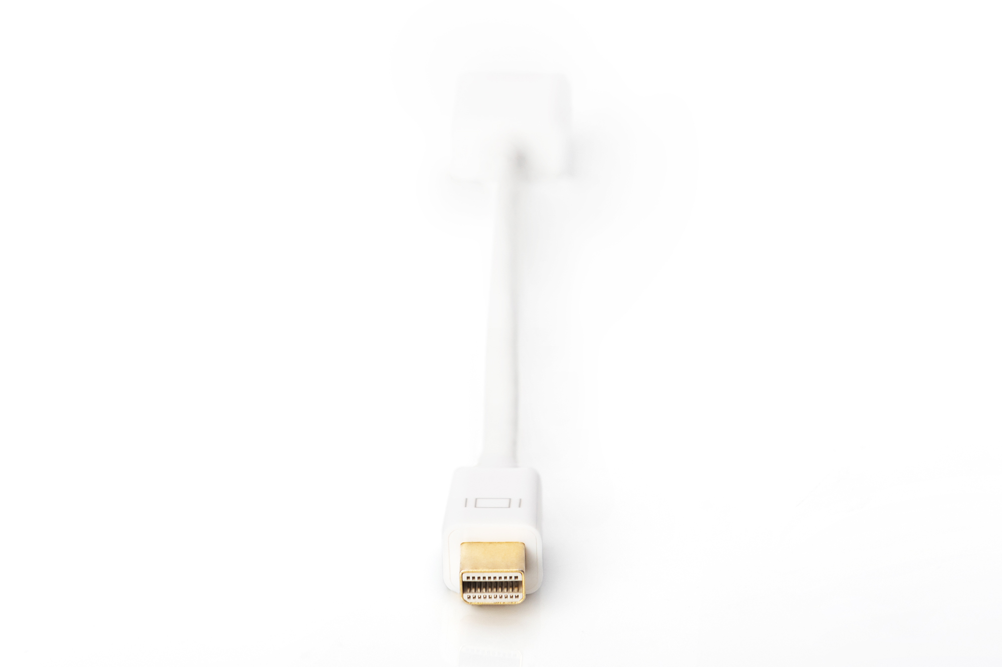 Digitus Cavo adattatore DisplayPort