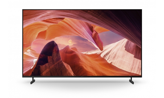 Sony FWD-65X80L Televisor 165,1 cm (65) 4K Ultra HD Smart TV Wifi Negro