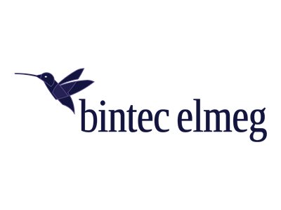 bintec elmeg ISDN-Kabel