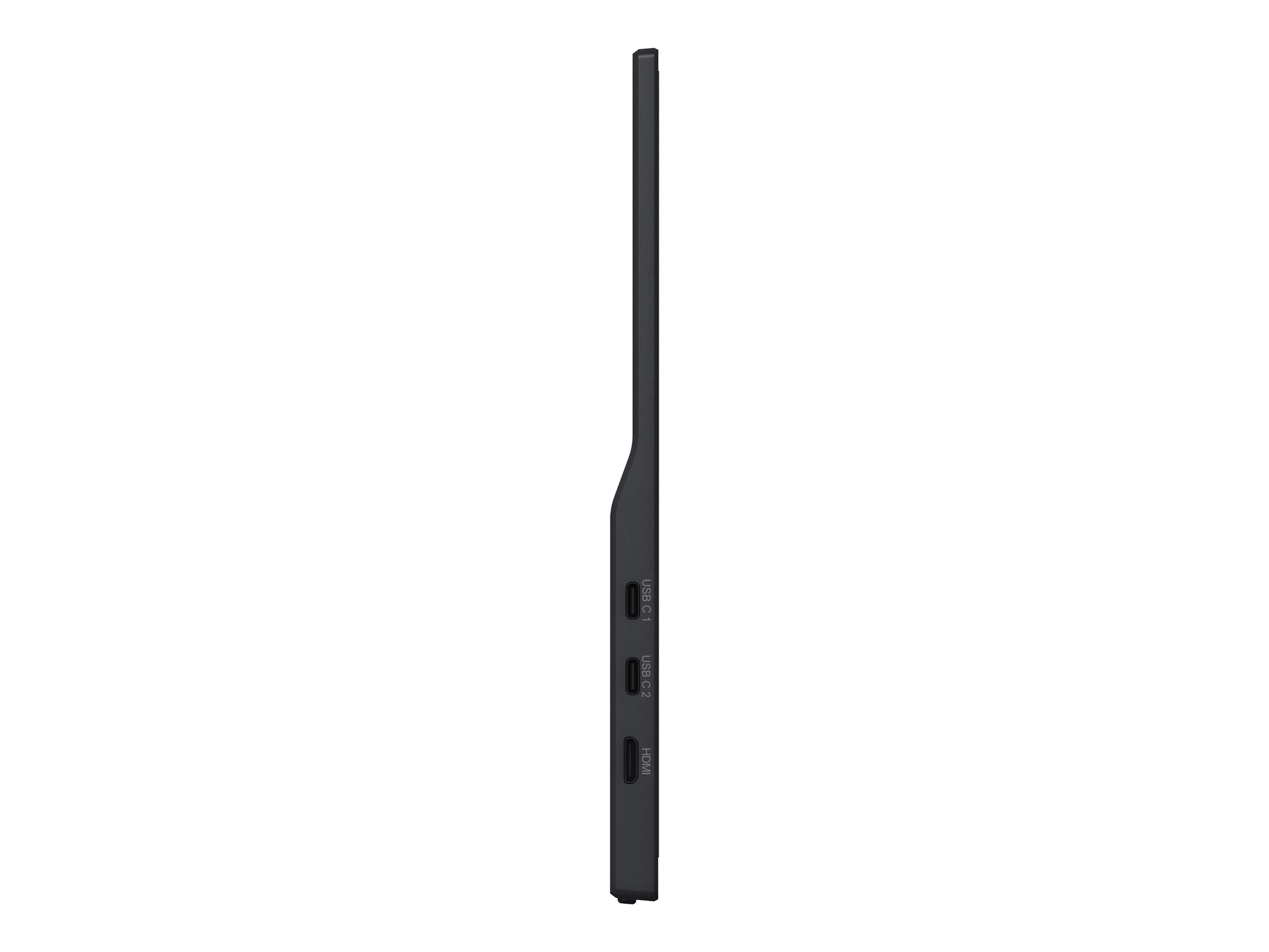 Iiyama ProLite P1671HSC-B1 - LED-Monitor - 39.6 cm (15.6)