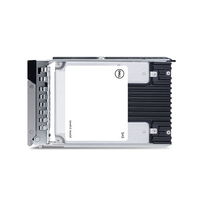 EMC 960GB SSD 2.5 SATA 6G RI 345-BDRK - Festplatte - Serial ATA
