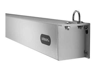 celexon Electric Professional Plus - Leinwand - Deckenmontage m�glich, geeignet f�r Wandmontage - motorisiert - 230 V - 249 cm (98)