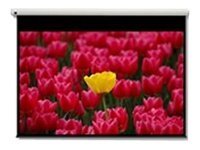 Optoma Pantalla 16:9 2656 x 1494mm �cran de projection 3,05 m (120)