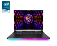 MSI GE78HX - 17,3 Notebook - Core i9 5,5 GHz 43,9 cm
