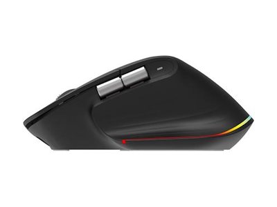 Acer Easy Fit - Maus - ergonomisch - optische LED - 6 Tasten - kabellos - 2.4 GHz, Bluetooth 5.0 - kabelloser Empf�nger (USB)