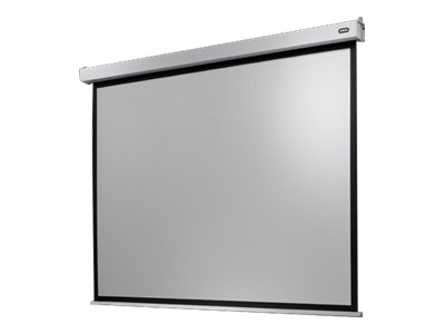 celexon Electric Professional Plus Data format - Leinwand - Deckenmontage m�glich, geeignet f�r Wandmontage - motorisiert - 230 V - 200 cm (79)