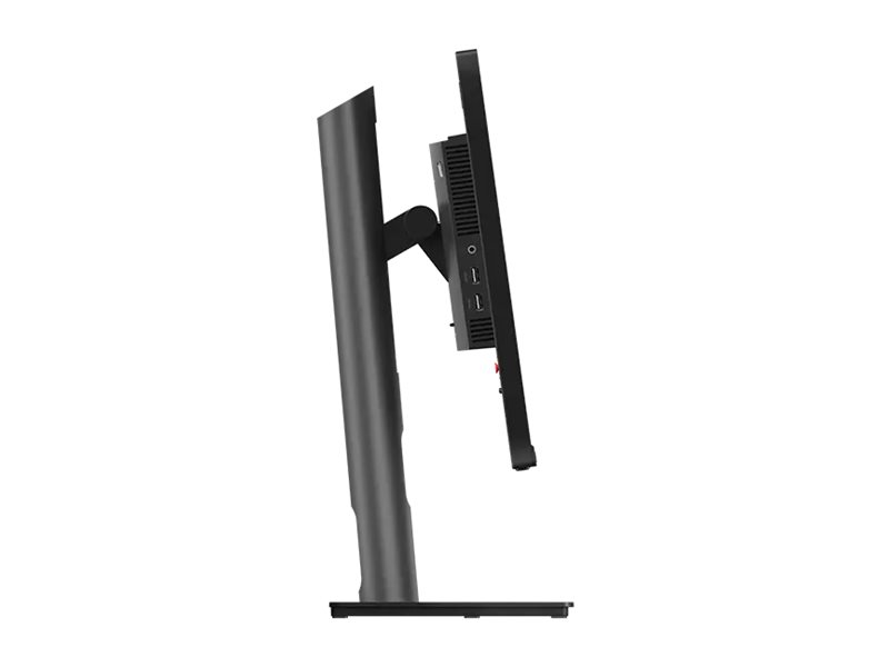 Lenovo ThinkVision P25i-30 - LED-Monitor - 63.5 cm (25)