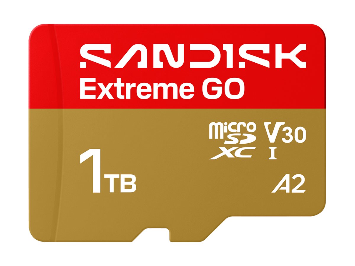 SanDisk Extreme Go - Flash-Speicherkarte - 1
