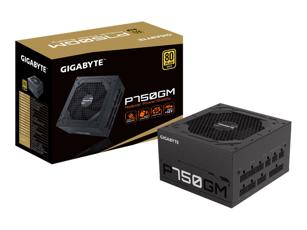 Gigabyte P750GM unit dalimentation dnergie 750 W 20+4 pin ATX ATX Noir