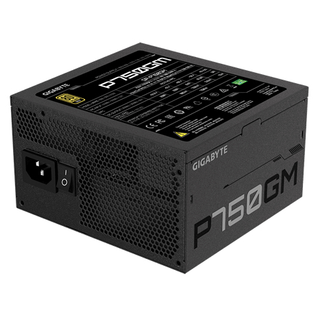 Gigabyte P750GM unit dalimentation dnergie 750 W 20+4 pin ATX ATX Noir