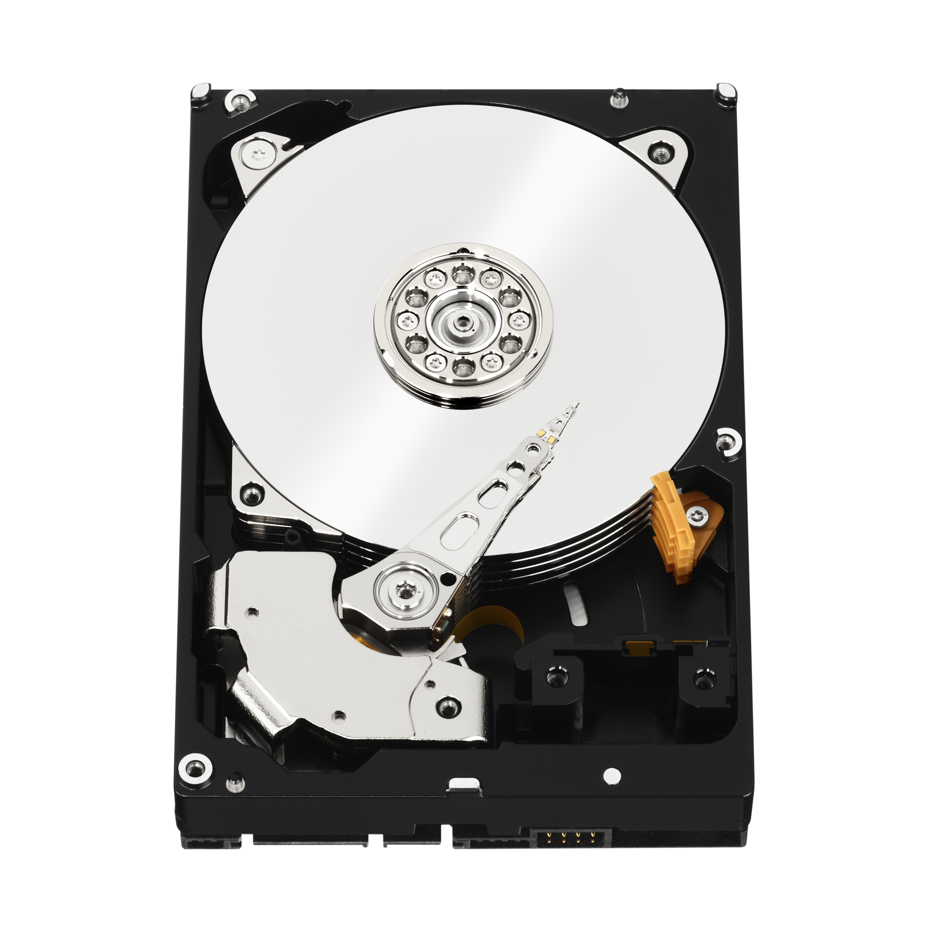 WD Black Performance Hard Drive WD5003AZEX - Festplatte - 500 GB - intern - 3.5 (8.9 cm)