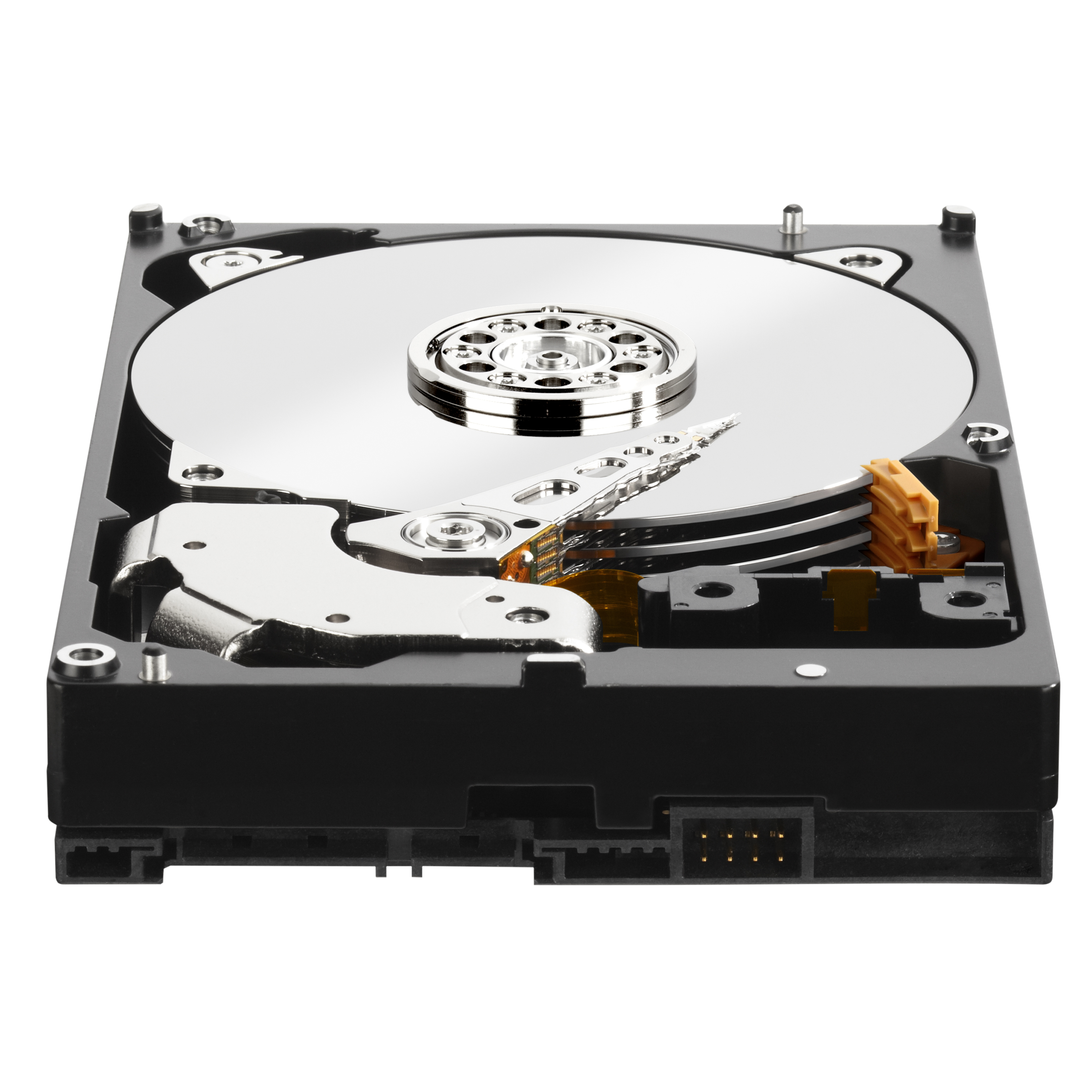 WD Black Performance Hard Drive WD5003AZEX - Festplatte - 500 GB - intern - 3.5 (8.9 cm)