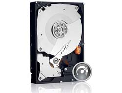 WD Black Performance Hard Drive WD5003AZEX - Festplatte - 500 GB - intern - 3.5 (8.9 cm)