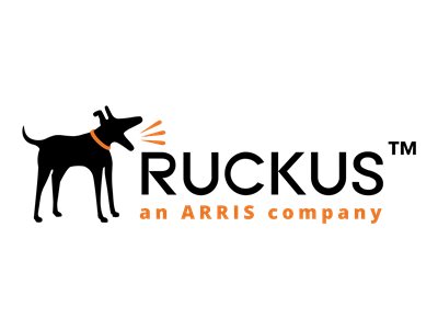 Ruckus from 2x1 GbE SFP and 2x10 GbE SFP+ to 4x10 GbE SFP+ uplink ports