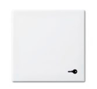 Busch-Jaeger 1731-0-2012 wall plate/switch cover White