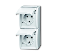 BUSCH JAEGER Schuko-Zweifachsteckdose 20-02 EW-54