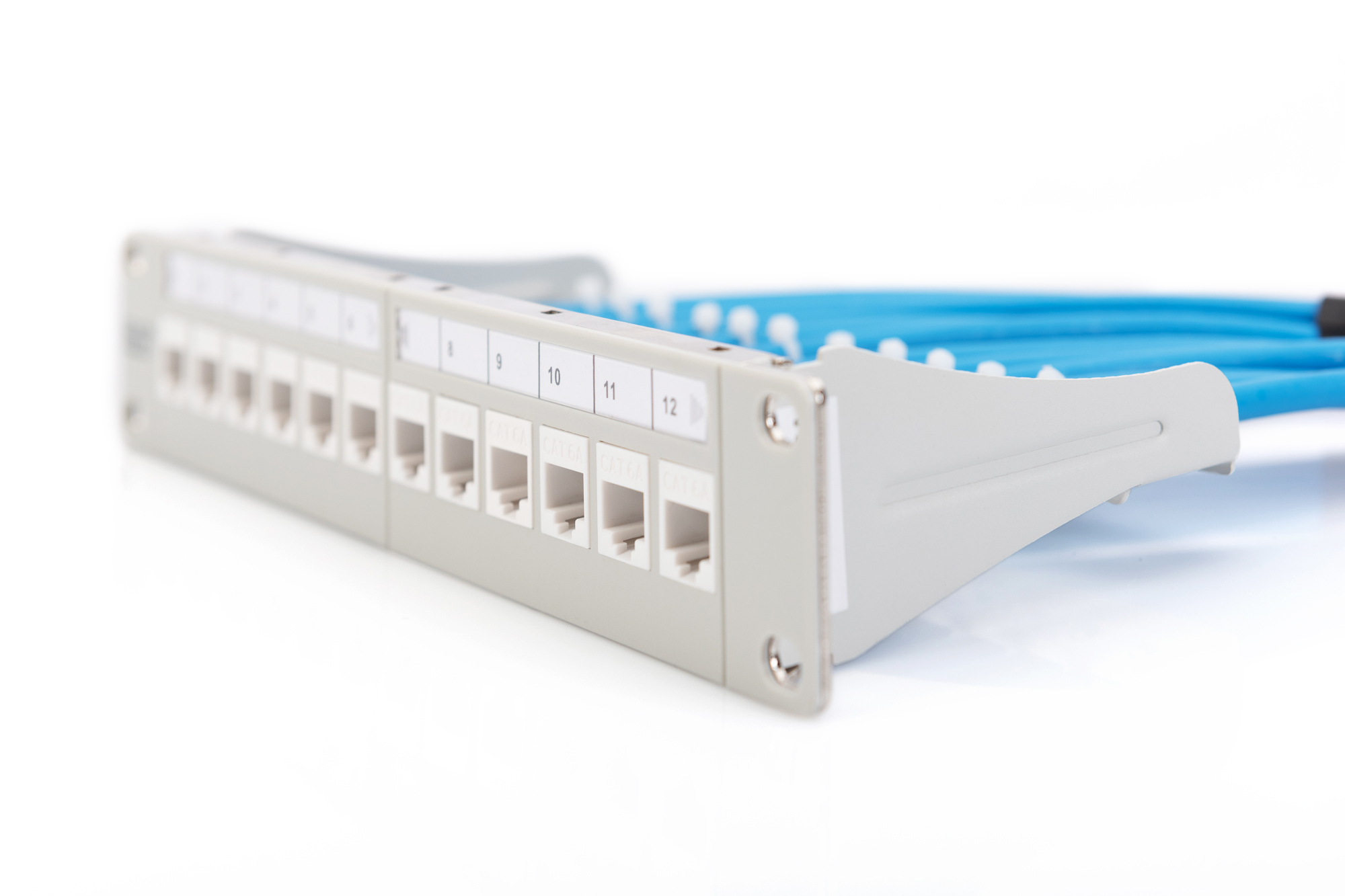 Digitus Modular Patch Panel, 12-port