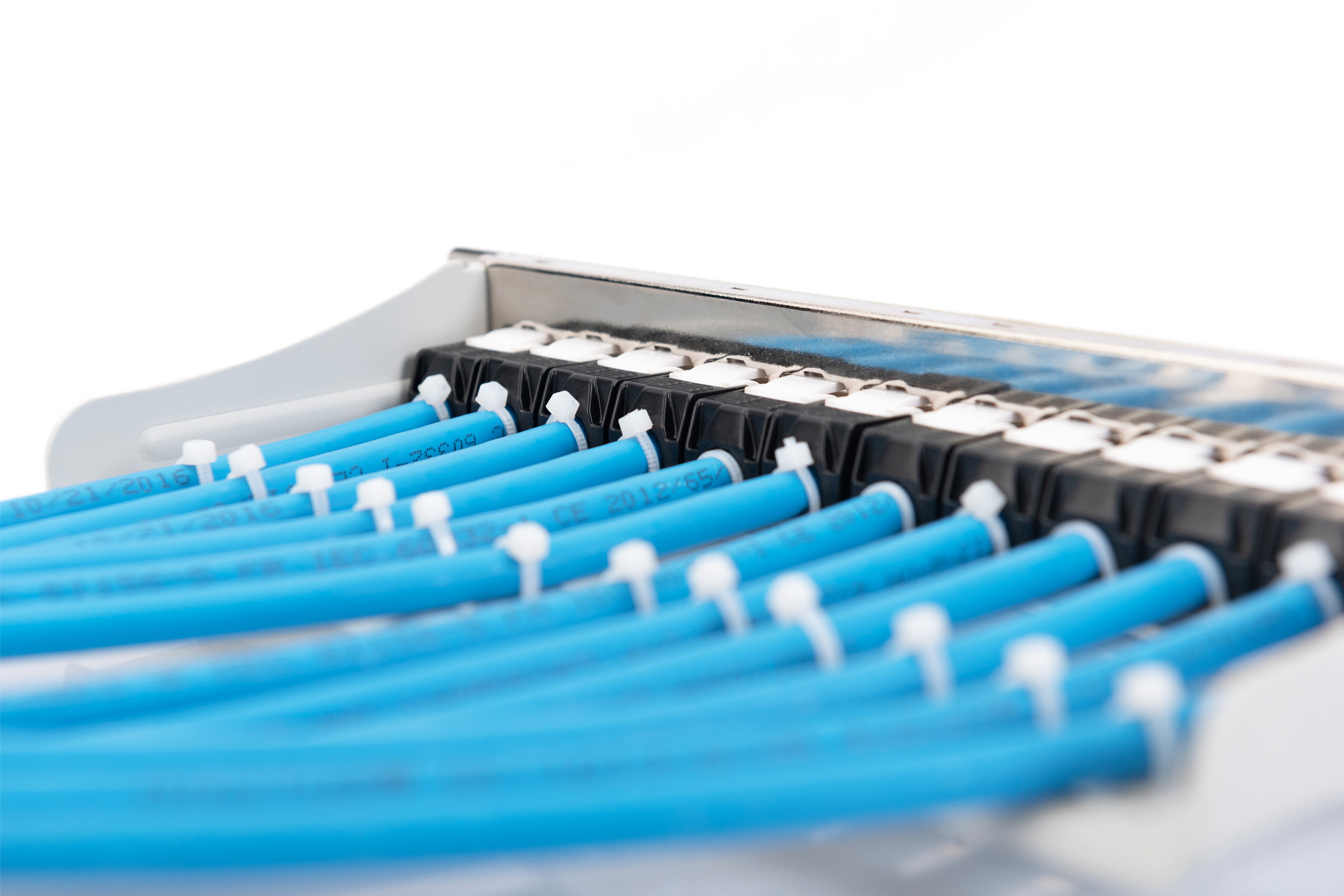 Digitus Modular Patch Panel, 12-port