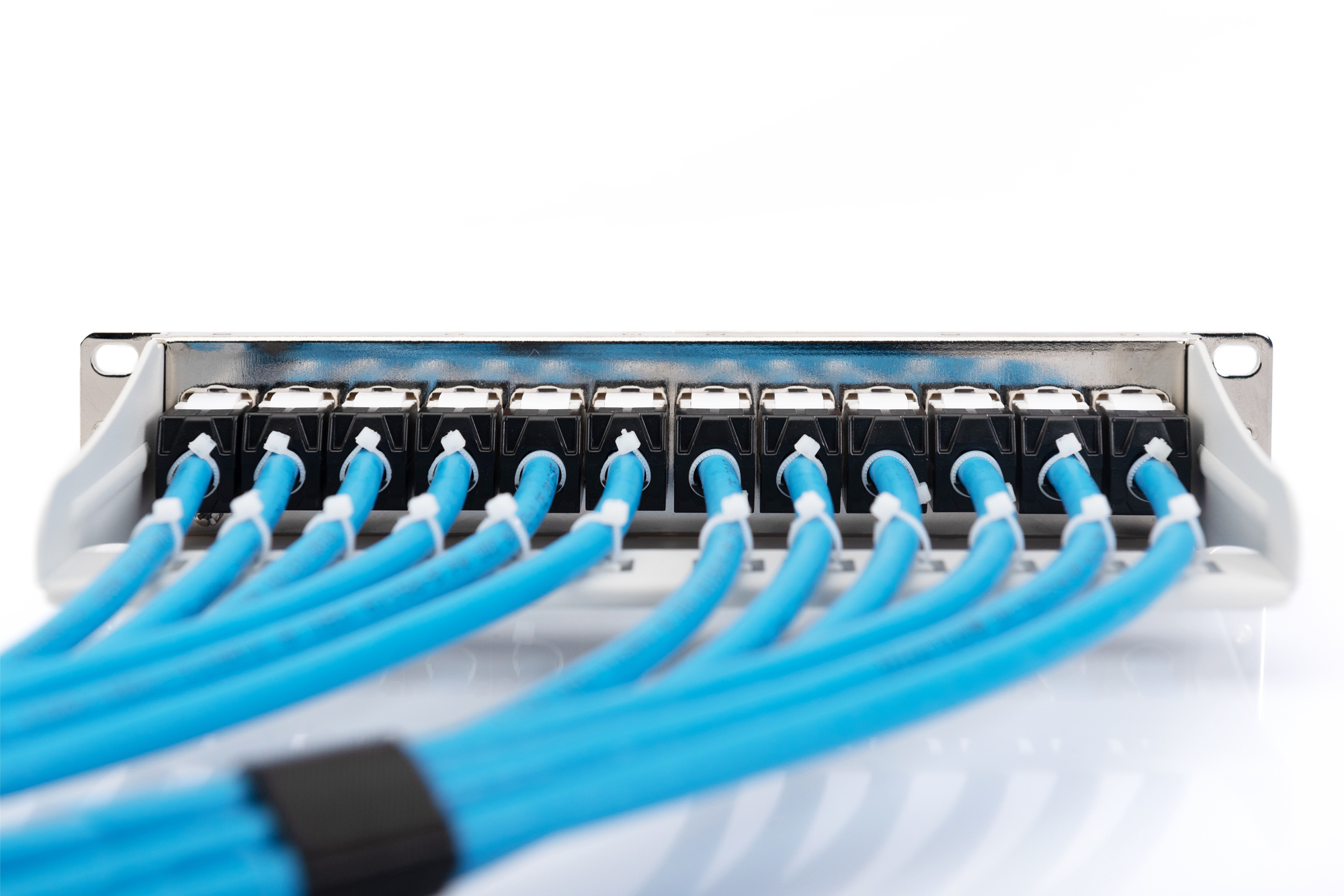 Digitus Modular Patch Panel, 12-port