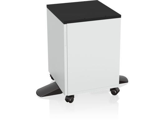 Epson 7112285 printer cabinet/stand Black, White