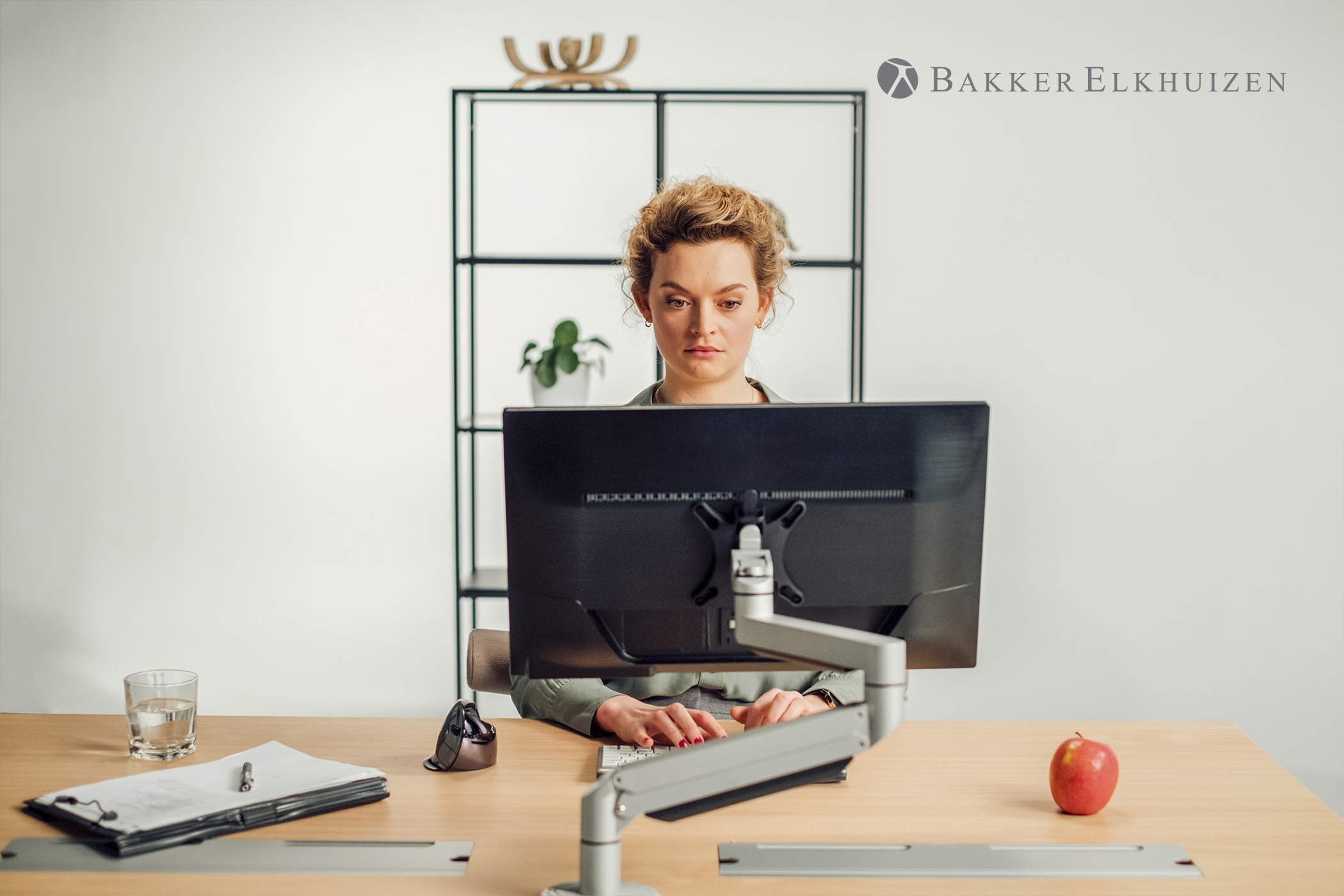Bakker Elkhuizen Evoluent D Small - Vertikale Maus