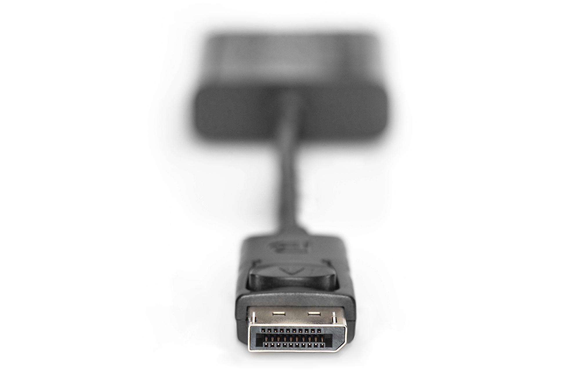 Digitus Cavo adattatore DisplayPort