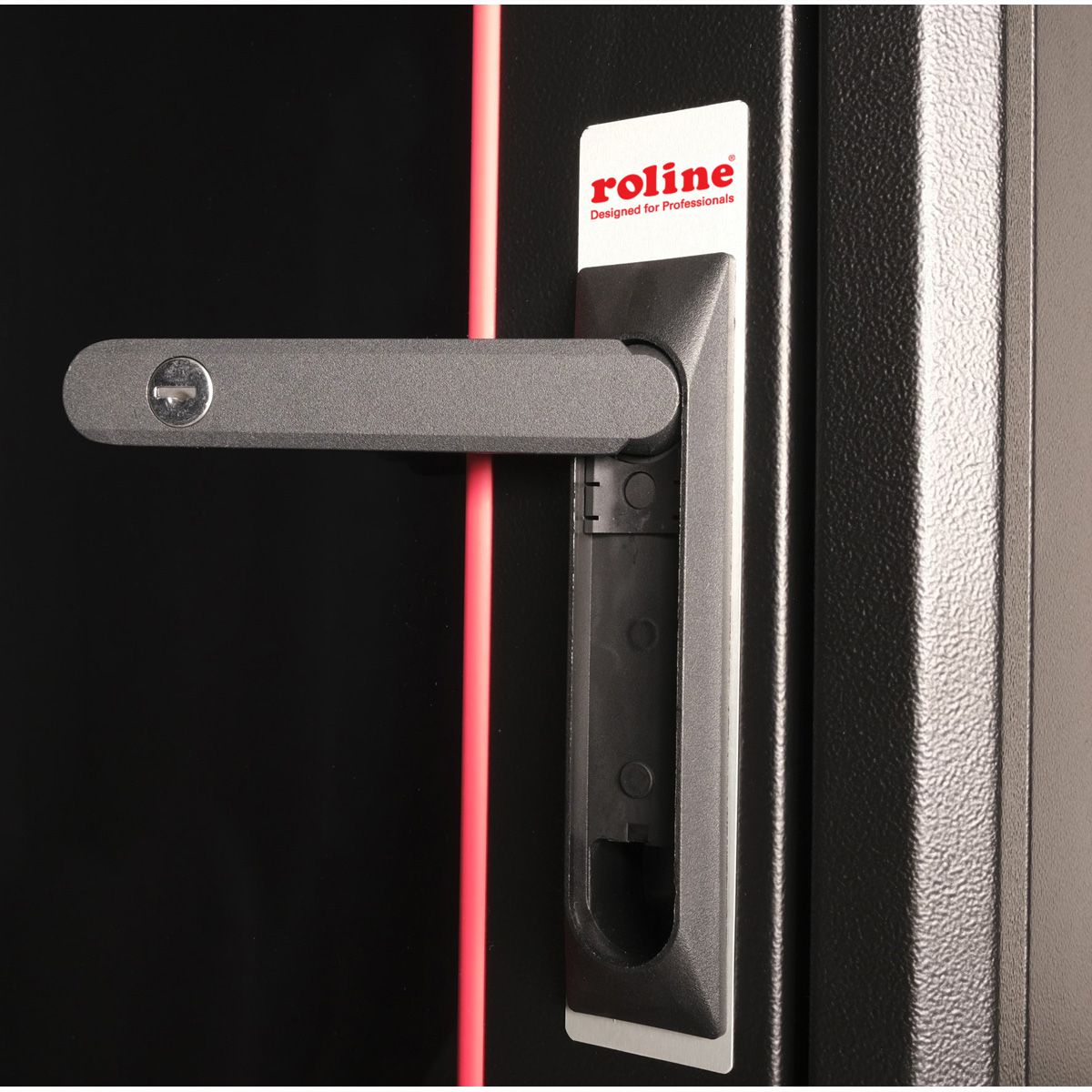 ROLINE Pro - Schrank Netzwerkschrank - mit Glast�r, 600 x 800 mm (B x T)