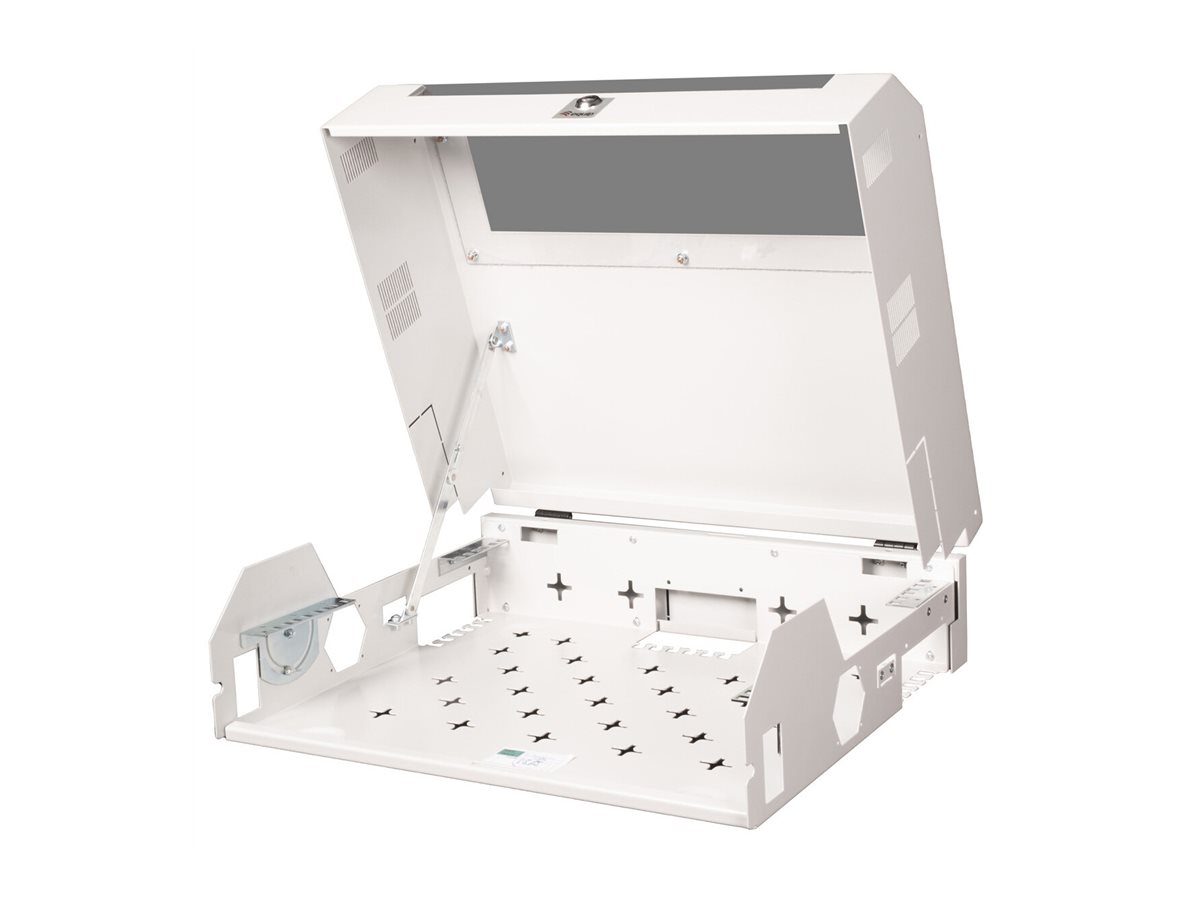 ROLINE Basic - Geh�use - geeignet f�r Wandmontage - RAL 7035, Hellgrau - 5U - 48.3 cm (19)