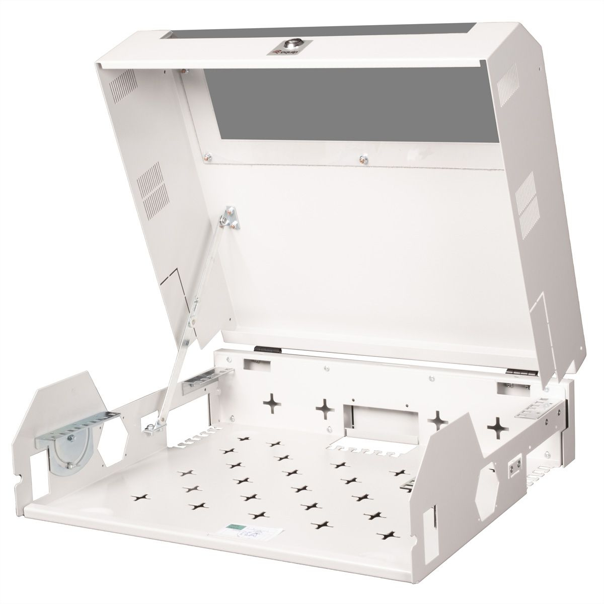 ROLINE Basic - Geh�use - geeignet f�r Wandmontage - RAL 7035, Hellgrau - 5U - 48.3 cm (19)