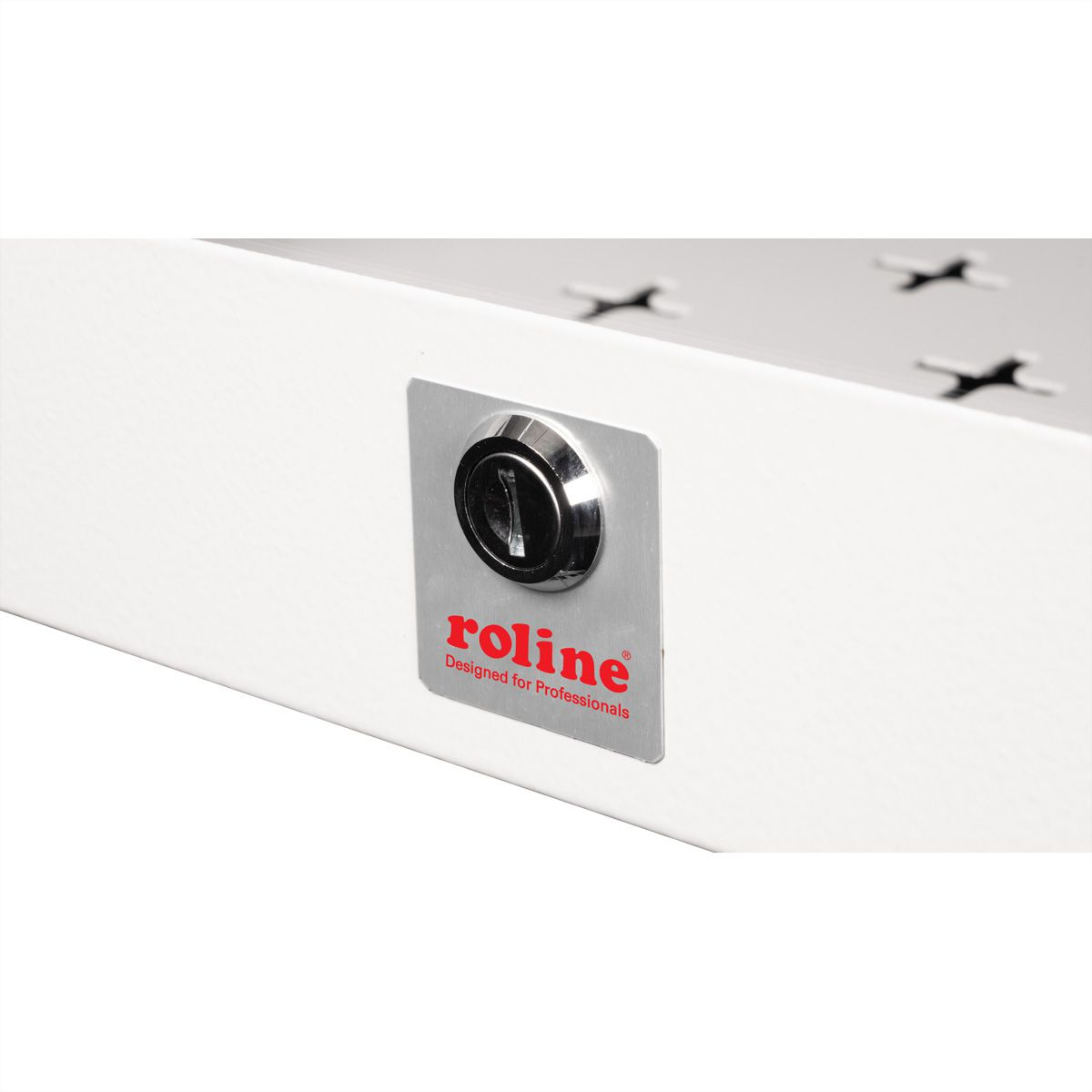 ROLINE Basic - Geh�use - geeignet f�r Wandmontage - RAL 7035, Hellgrau - 5U - 48.3 cm (19)