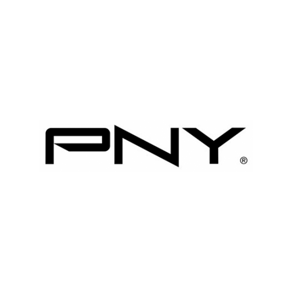 PNY QSP-PWSUP16PPCIE300W Stromkabel CEM5 auf 2x PCIE - Kabel - Strom/Netzteil