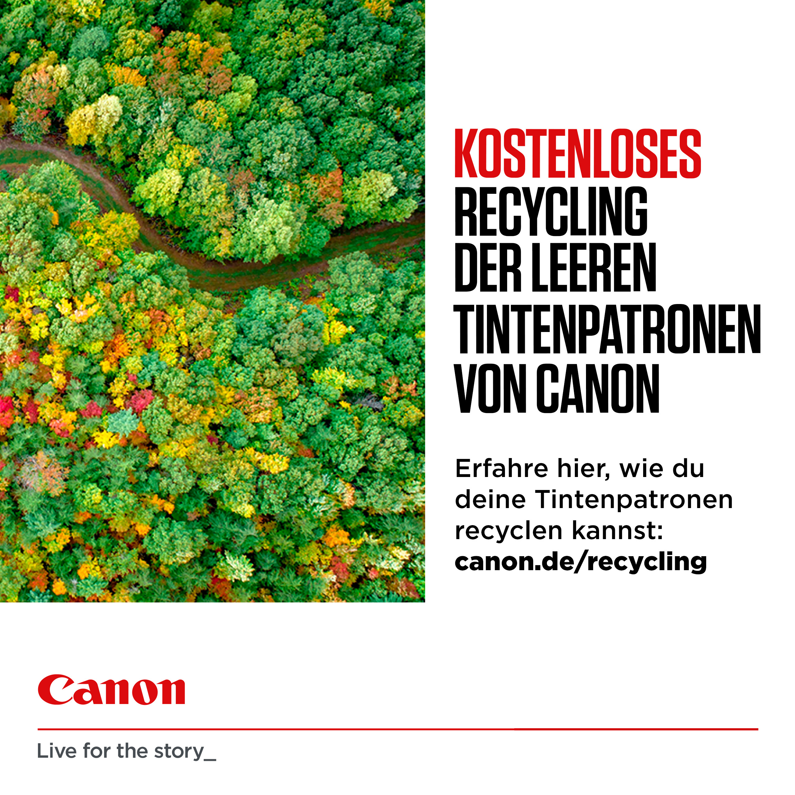 Canon cli-531 Ink Cartridge Cyan Europe